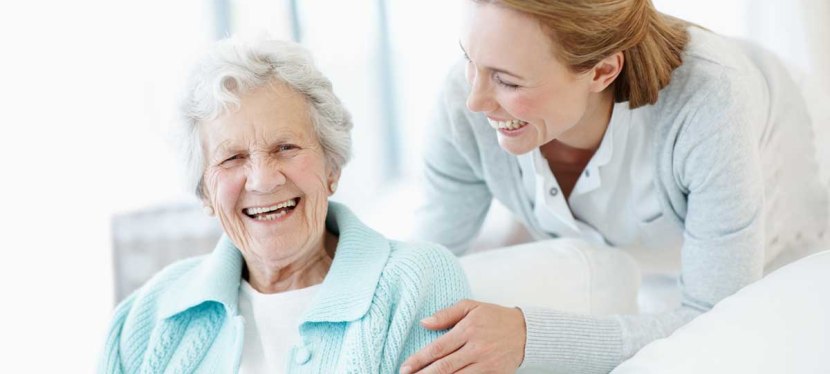 Criação da Bolsa de Emprego